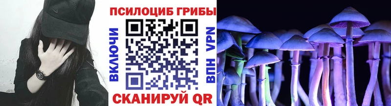 Галлюциногенные грибы Psilocybine cubensis Аксай